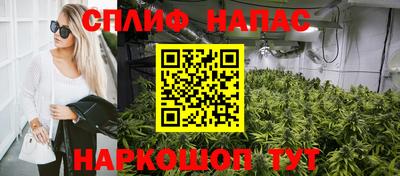 дурь Камышлов