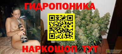 дурь Камышлов