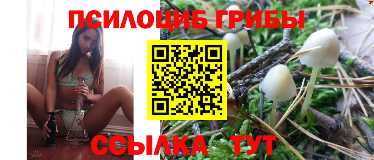 Псилоцибиновые грибы Magic Shrooms Кропоткин